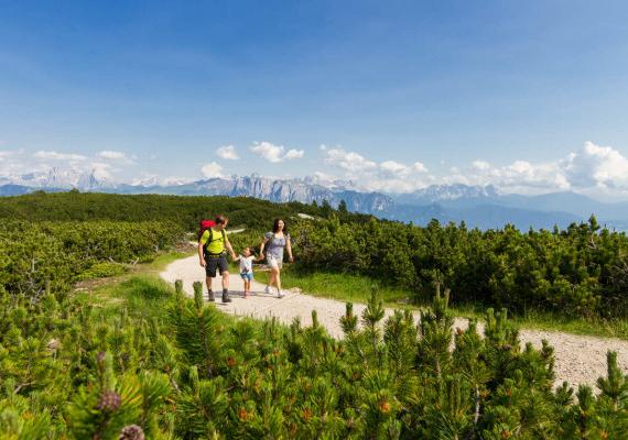 Familie wandert mit Kindern in den Bergen während ihres Urlaubs und genießt die Natur und frische Luft.