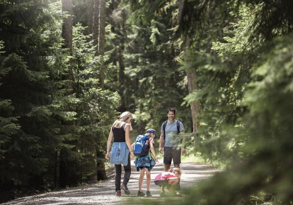 Summit happiness and alpine charm: discover the mountains with SchartnerAlm