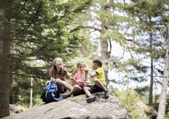 Experience mountain magic: The SchartnerAlm for nature lovers