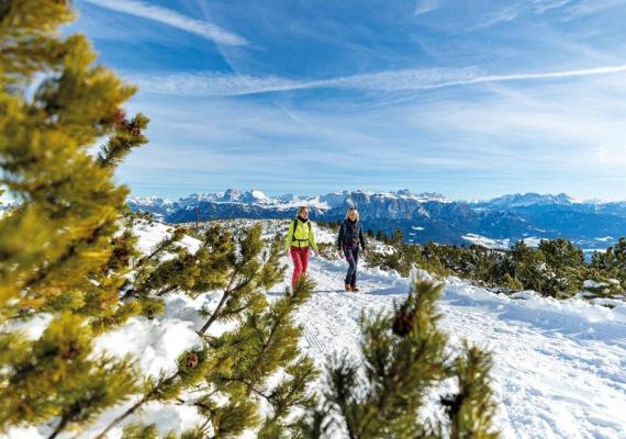 Bolzano in winter - Winter hike