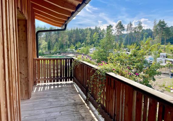 Spacious and lush green balcony with a view of the mountains.