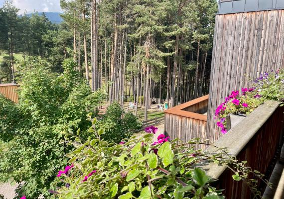 Spacious and lush green balcony with a view of the mountains.