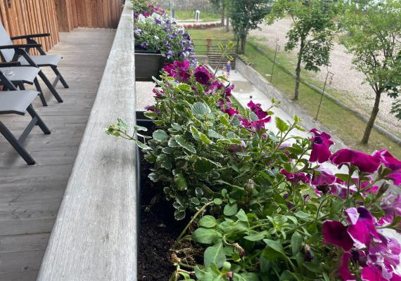 Balkon mit Blumenbeet und Stühlen- Lärche, Südtirol Alm Lodges