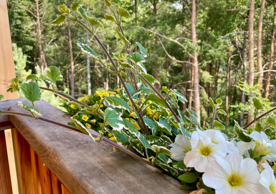 Ein Balkon mit Blick auf die Berge 