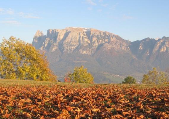 Experience the magic of fall in South Tyrol